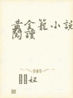黄金笼小说免费阅读