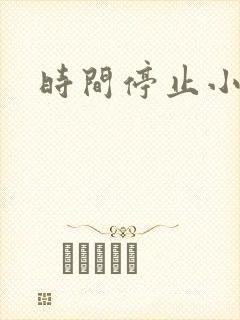 时间停止小说