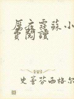 厉夜霆苏小汐免费阅读