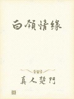 白领情缘
