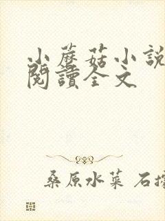 小蘑菇小说免费阅读全文