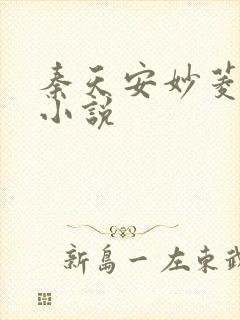 秦天安妙菱修仙小说