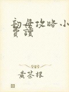 韵母攻略小说免费读