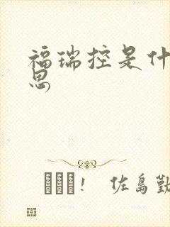 福瑞控是什么意思