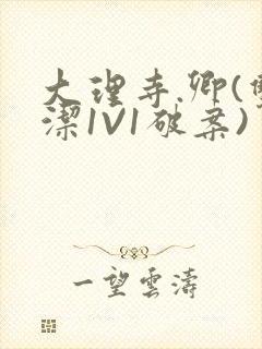 大理寺.卿(双洁1V1破案)