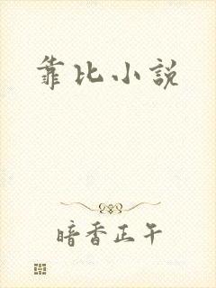 靠比小说
