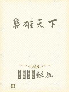 枭雄天下