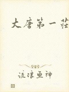 大唐第一庄