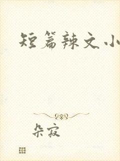 短篇辣文小说