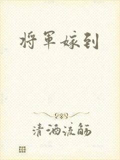 将军嫁到