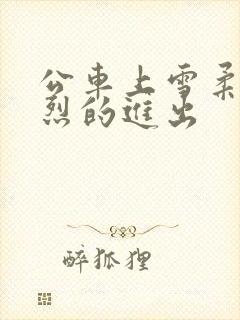 公车上雪柔被猛烈的进出