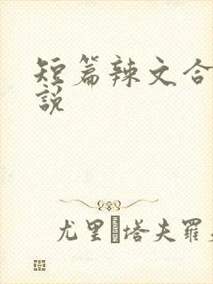 短篇辣文合集小说