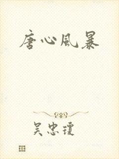 唐心风暴