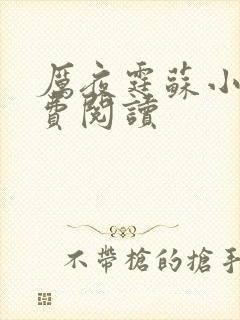 厉夜霆苏小汐免费阅读