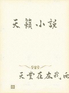 天籁小说