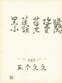 黑莲花攻略手册小说免费阅读