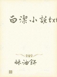 白洁小说txt