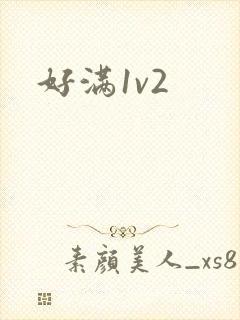 好满1v2