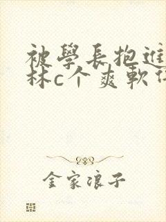 被学长抱进小树林c个爽软件