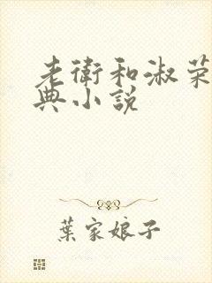 老卫和淑荣的经典小说