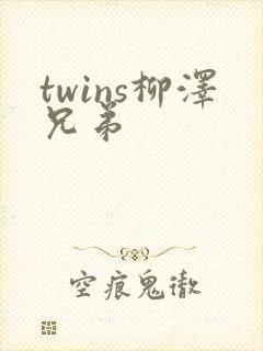 twins柳泽兄弟
