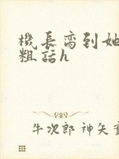 机长脔到她哭h粗话h