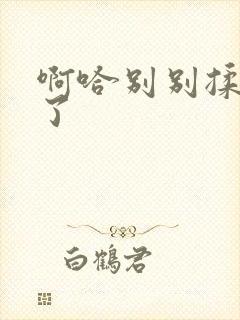 啊哈别别揉那处了