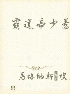 霸道帝少惹不得