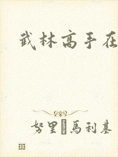 武林高手在异界