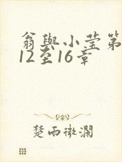 翁与小莹第十部12至16章