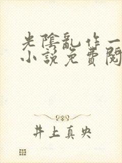 光阴乱作一团的小说免费阅读