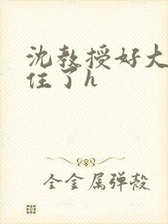 沈教授好大含不住了h