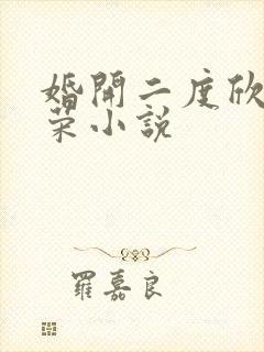 婚开二度欣欣向荣小说