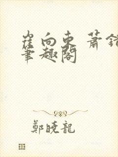崔向东 萧错 笔趣阁