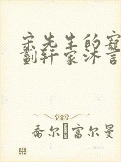 宋先生的宠妻计划轩家沐言