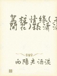 驾校情缘(老树开花)孙潇潇笔趣阁