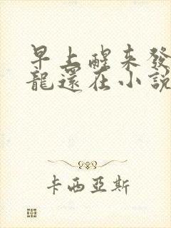 早上醒来发现巨龙还在小说