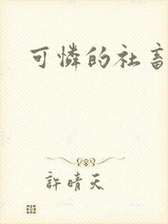 可怜的社畜小说