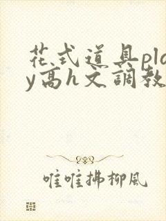 花式道具play高h文调教