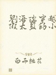 刘海瑞穿越后宫假太监的小说