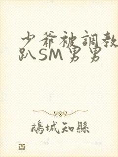 少爷被调教室跪趴SM男男