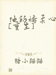 他的娇柔心尖宠[重生]