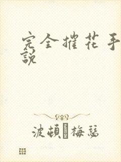 完全摧花手册小说