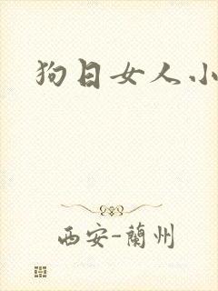 狗日女人小说