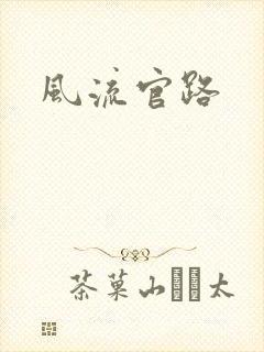 风流官路