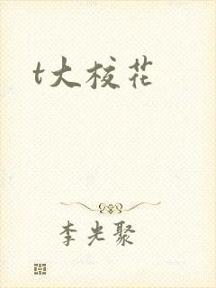 t大校花