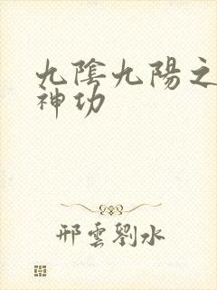 九阴九阳之阴阳神功