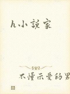 h小说家