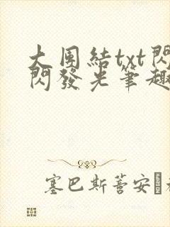 大团结txt闪闪发光笔趣阁