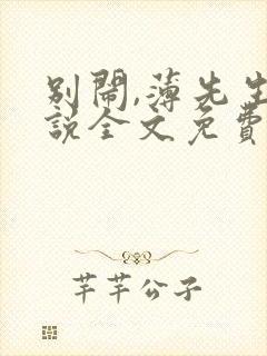 别闹,薄先生小说全文免费阅读